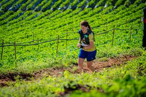 BIB: 
                            <button type="button" onclick="openModal(19161690)" class="btn btn-primary btn-sm float-right btn-popup" data-toggle="modal" data-target=".modal-high-quality">
                        <i class="fas fa-shopping-cart"></i> Add to Cart
                    </button>
                                            <button type="button" onclick="isThisMe(19161690, true)" class="btn btn-success btn-sm float-right btn-popup btn-isme hidden" data-toggle="tooltip" data-placement="bottom" title="นี่คือรูปของคุณใช่ไหม คลิกที่นี่เพื่อเอาเข้าอัลบั้ม">
                        <i class="fas fa-plus"></i> Add to album
                    </button>
                    <button type="button" onclick="isThisMe(19161690, false)" class="btn btn-warning btn-sm float-right btn-popup btn-isnotme hidden">
                        <i class="fas fa-ban"></i> Remove from album
                    </button>